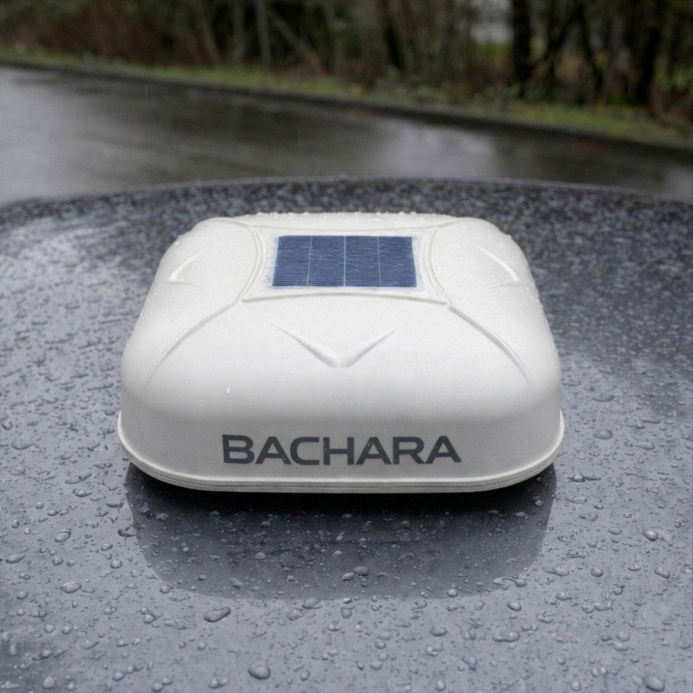 Bachara™